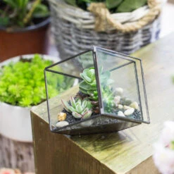 Handmade 10cm / 15cm Inclined Cube Glass Black Geometric Terrarium With Door For Succulent Moss -Ncyp Garden Store product image 825328350