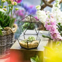 Handmade Tabletop Artistic Glass Jewelry Box Geometric Terrarium For Weddiing Home Office Decor -Ncyp Garden Store product image 826680350