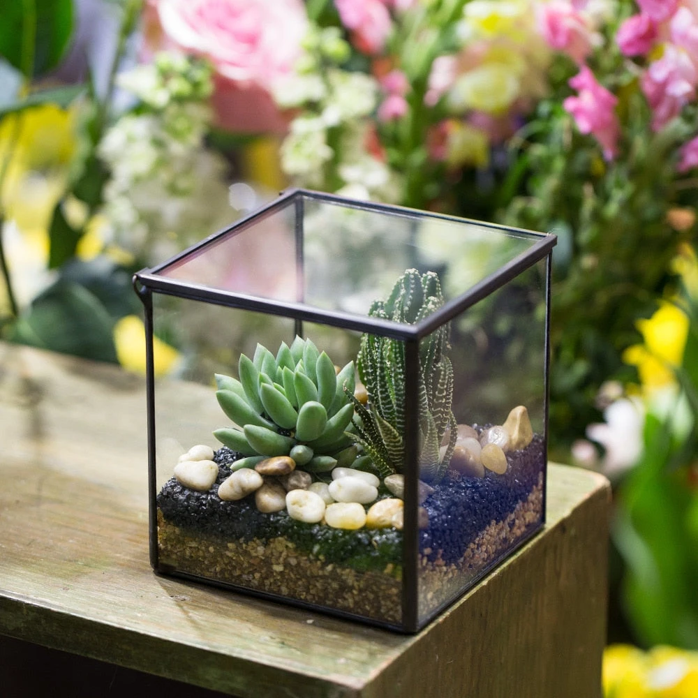 Handmade Square Glass Geometric Terrarium Box With Lid For Succulents Fern Moss 9 Handmade Square Glass Geometric Terrarium Box With Lid For Succulents Fern Moss - Image 7
