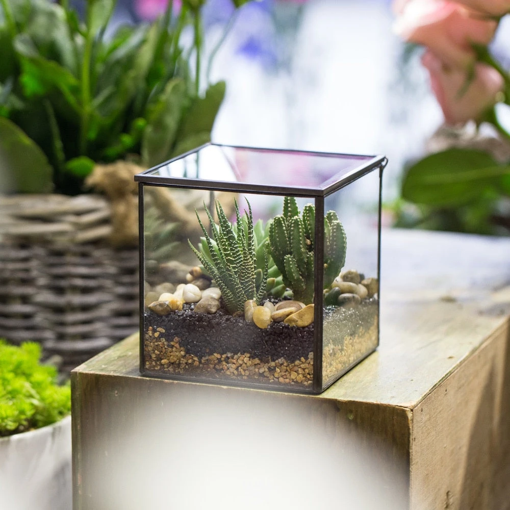 Handmade Square Glass Geometric Terrarium Box With Lid For Succulents Fern Moss 12 Handmade Square Glass Geometric Terrarium Box With Lid For Succulents Fern Moss - Image 10