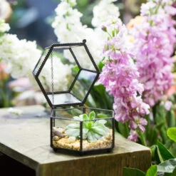 Handmade Small Glass Jewelry Geometric Box Terrarium For Succulents Ring Box -Ncyp Garden Store product image 843420124