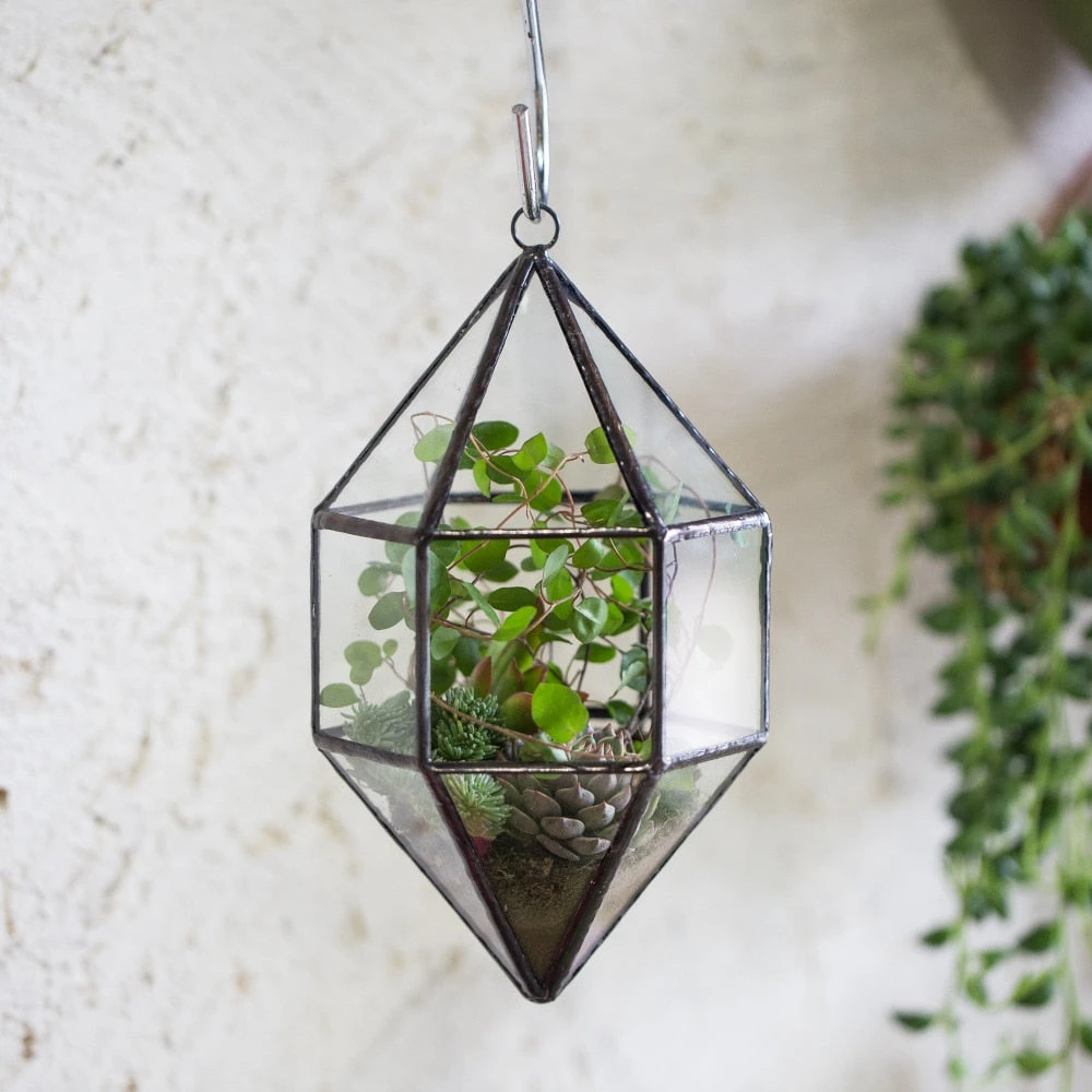 Handmade Hanging Cone Shape Glass Geometric Terrarium For Succulent Fern Moss 4 Handmade Hanging Cone Shape Glass Geometric Terrarium For Succulent Fern Moss - Image 2
