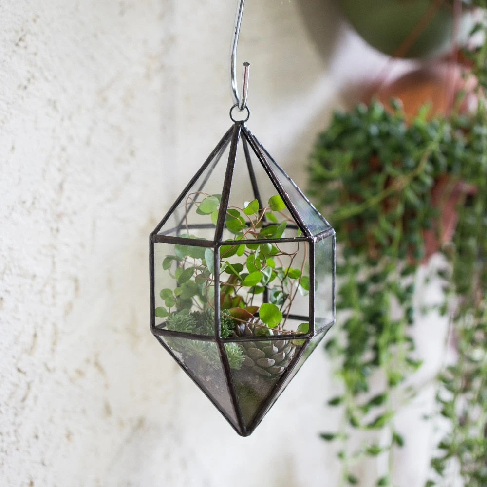 Handmade Hanging Cone Shape Glass Geometric Terrarium For Succulent Fern Moss 10 Handmade Hanging Cone Shape Glass Geometric Terrarium For Succulent Fern Moss - Image 8