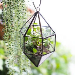 Handmade Hanging Cone Shape Glass Geometric Terrarium For Succulent Fern Moss 17 Handmade Hanging Cone Shape Glass Geometric Terrarium For Succulent Fern Moss -Ncyp Garden Store product image 855726779