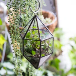 Handmade Hanging Cone Shape Glass Geometric Terrarium For Succulent Fern Moss 18 Handmade Hanging Cone Shape Glass Geometric Terrarium For Succulent Fern Moss -Ncyp Garden Store product image 855726780