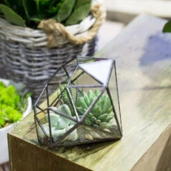 Handmade Diamond Open Glass Geometric Terrarium For Succulents Moss Fern Cacti -Ncyp Garden Store product image 866974534