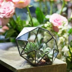 Handmade Diamond Open Glass Geometric Terrarium For Succulents Moss Fern Cacti -Ncyp Garden Store product image 866974536