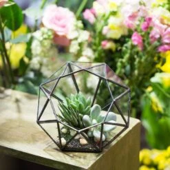 Handmade Diamond Open Glass Geometric Terrarium For Succulents Moss Fern Cacti -Ncyp Garden Store product image 866974537