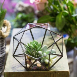 Handmade Diamond Open Glass Geometric Terrarium For Succulents Moss Fern Cacti -Ncyp Garden Store product image 866974538