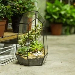 Handmade 25cm Irregular Tall Open Glass Geometric Terrarium Container For Succulents Wedding -Ncyp Garden Store product image 905369582