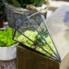 Handmade Long Diamond Glass Geometric Terrarium For Succulent Airplants Cacti Moss -Ncyp Garden Store product image 953375755