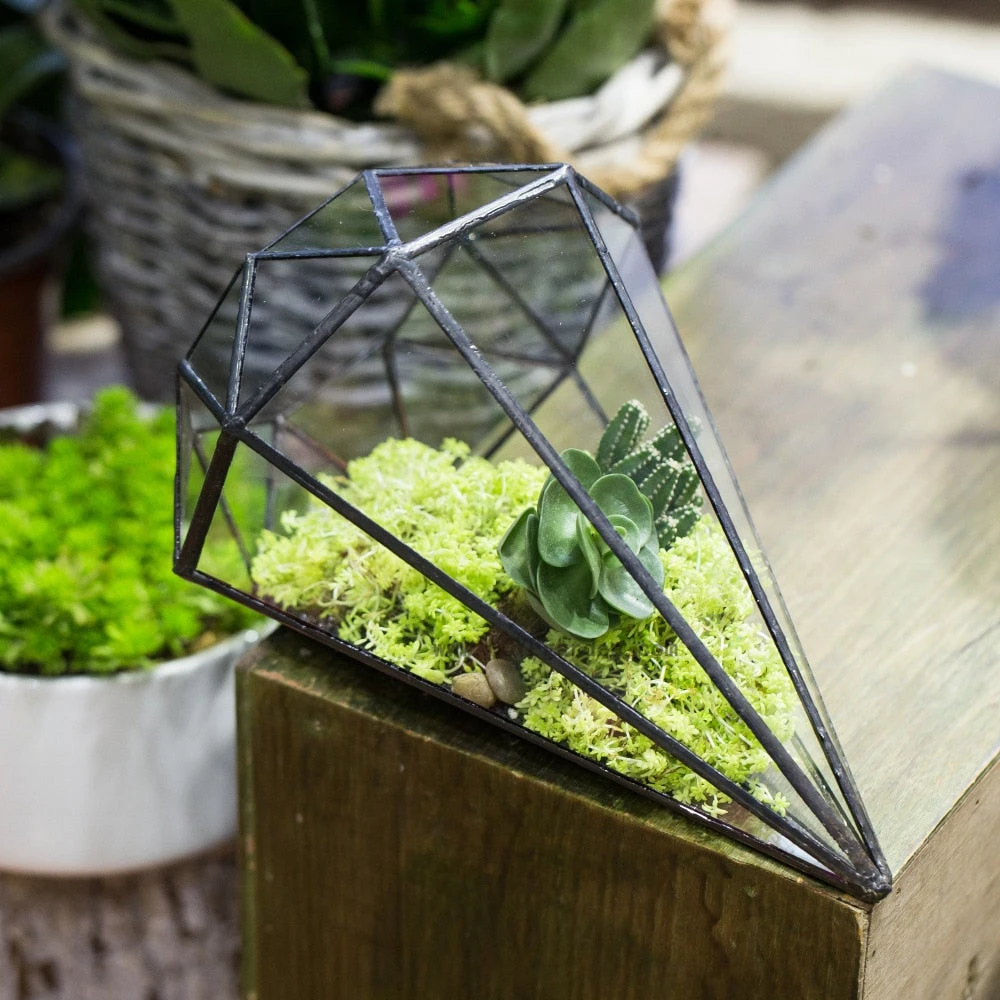 Handmade Long Diamond Glass Geometric Terrarium For Succulent Airplants Cacti Moss 3 Handmade Long Diamond Glass Geometric Terrarium For Succulent Airplants Cacti Moss