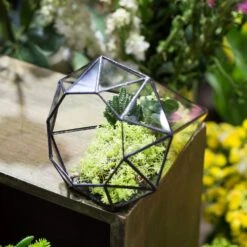 Handmade Long Diamond Glass Geometric Terrarium For Succulent Airplants Cacti Moss 23 Handmade Long Diamond Glass Geometric Terrarium For Succulent Airplants Cacti Moss -Ncyp Garden Store product image 953375756