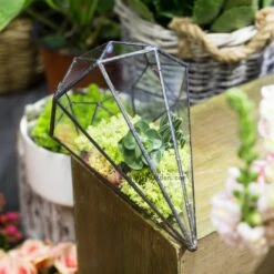 Handmade Long Diamond Glass Geometric Terrarium For Succulent Airplants Cacti Moss 21 Handmade Long Diamond Glass Geometric Terrarium For Succulent Airplants Cacti Moss -Ncyp Garden Store product image 953375758