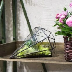 Handmade Long Diamond Glass Geometric Terrarium For Succulent Airplants Cacti Moss 19 Handmade Long Diamond Glass Geometric Terrarium For Succulent Airplants Cacti Moss -Ncyp Garden Store product image 953375759