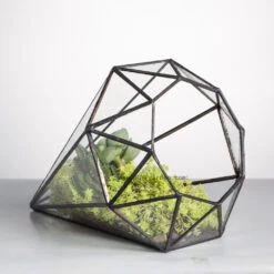 Handmade Long Diamond Glass Geometric Terrarium For Succulent Airplants Cacti Moss 16 Handmade Long Diamond Glass Geometric Terrarium For Succulent Airplants Cacti Moss -Ncyp Garden Store product image 953375760