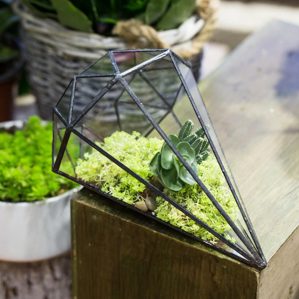 Handmade Long Diamond Glass Geometric Terrarium For Succulent Airplants Cacti Moss 13 Handmade Long Diamond Glass Geometric Terrarium For Succulent Airplants Cacti Moss - Image 11