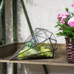 Handmade Long Diamond Glass Geometric Terrarium For Succulent Airplants Cacti Moss 17 Handmade Long Diamond Glass Geometric Terrarium For Succulent Airplants Cacti Moss -Ncyp Garden Store product image 988840448