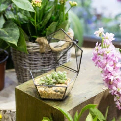 Handmade Tabletop Artistic Glass Jewelry Box Geometric Terrarium For Weddiing Home Office Decor -Ncyp Garden Store product image 988998658