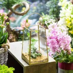 Handmade Copper Gold Echelon Geometric Glass Terrarium Hanging Wall Holder Lantern With Handle -Ncyp Garden Store product image 991625902