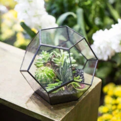 Handmade Tabletop Polyhedron Glass Geometric Terrarium For Succulent Fern Moss Air Plant 24 Handmade Tabletop Polyhedron Glass Geometric Terrarium For Succulent Fern Moss Air Plant -Ncyp Garden Store product image 993337421