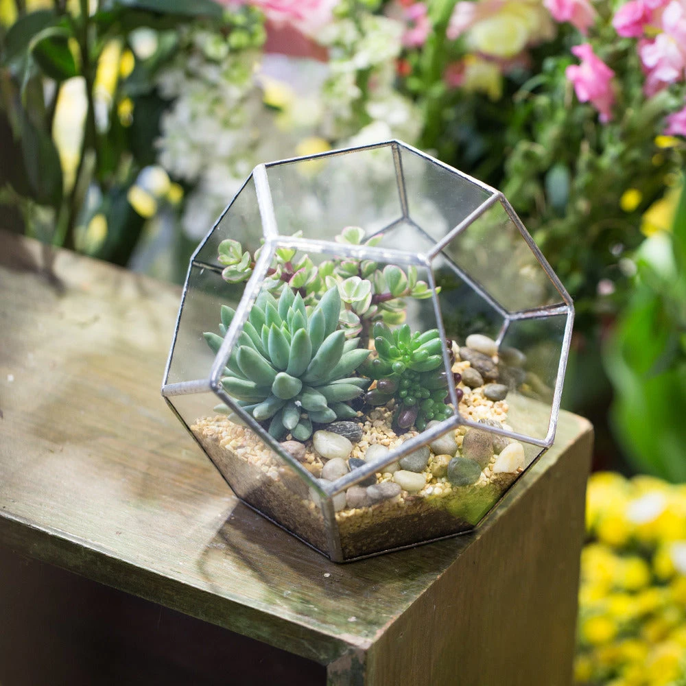 Handmade Tabletop Polyhedron Glass Geometric Terrarium For Succulent Fern Moss Air Plant 8 Handmade Tabletop Polyhedron Glass Geometric Terrarium For Succulent Fern Moss Air Plant - Image 6