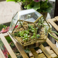 Handmade Tabletop Polyhedron Glass Geometric Terrarium For Succulent Fern Moss Air Plant 21 Handmade Tabletop Polyhedron Glass Geometric Terrarium For Succulent Fern Moss Air Plant -Ncyp Garden Store product image 993337427