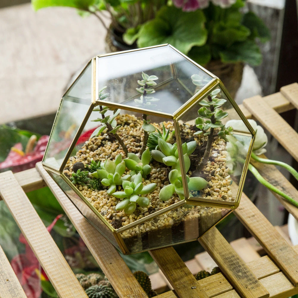 Handmade Tabletop Polyhedron Glass Geometric Terrarium For Succulent Fern Moss Air Plant 7 Handmade Tabletop Polyhedron Glass Geometric Terrarium For Succulent Fern Moss Air Plant - Image 5