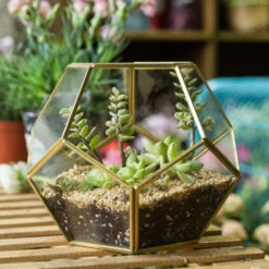 Handmade Tabletop Polyhedron Glass Geometric Terrarium For Succulent Fern Moss Air Plant 25 Handmade Tabletop Polyhedron Glass Geometric Terrarium For Succulent Fern Moss Air Plant -Ncyp Garden Store product image 993337428