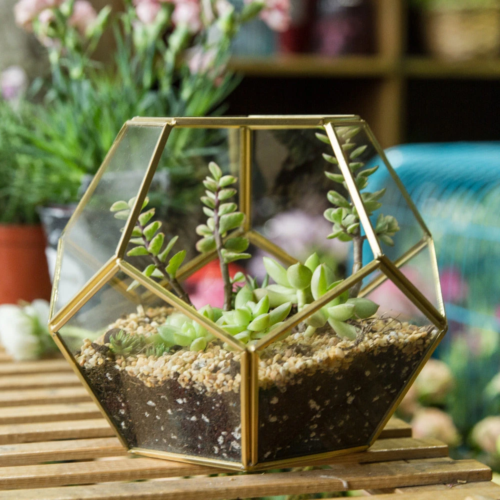 Handmade Tabletop Polyhedron Glass Geometric Terrarium For Succulent Fern Moss Air Plant 11 Handmade Tabletop Polyhedron Glass Geometric Terrarium For Succulent Fern Moss Air Plant - Image 9