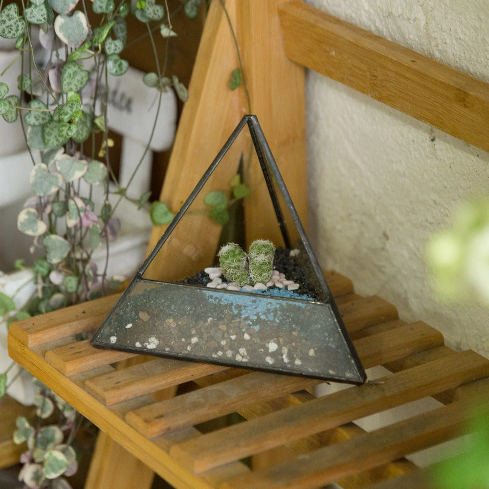Handmade Small Pyramid Glass Geometric Terrarium For Ring Box Moss Cacti 14 Handmade Small Pyramid Glass Geometric Terrarium For Ring Box Moss Cacti - Image 12