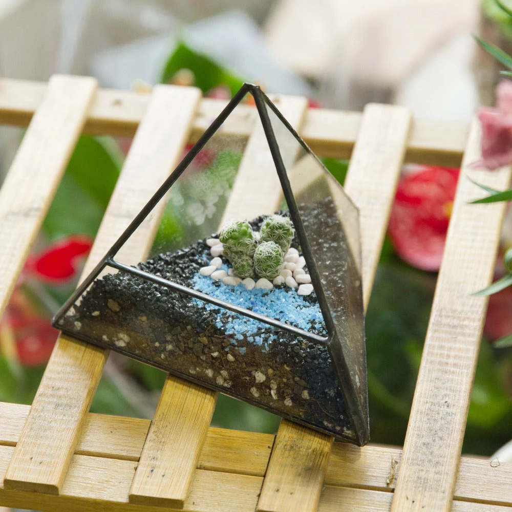 Handmade Small Pyramid Glass Geometric Terrarium For Ring Box Moss Cacti 5 Handmade Small Pyramid Glass Geometric Terrarium For Ring Box Moss Cacti - Image 3