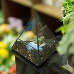 Handmade Small Pyramid Glass Geometric Terrarium For Ring Box Moss Cacti 24 Handmade Small Pyramid Glass Geometric Terrarium For Ring Box Moss Cacti -Ncyp Garden Store product image 997415097