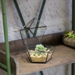 Handmade Small Modern Clear Jewelry BoxGlass Geometric Terrarium For Wedding Planters Succulents -Ncyp Garden Store product image 997437592