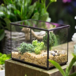 Handmade Rectangle Clear Glass Geometric Terrarium Box For Succulents Fern Moss Plant Flower 17 Handmade Rectangle Clear Glass Geometric Terrarium Box For Succulents Fern Moss Plant Flower -Ncyp Garden Store product image 997438686