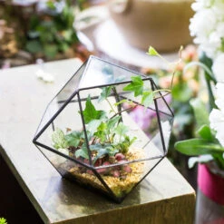 Handmade Glass Geometric Flower Terrarium Pot For Succulents Moss Fern Micro Landscape -Ncyp Garden Store product image 997439205