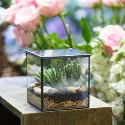 Handmade Small Square Glass Terrarium Box For Succulents Moss Jewelry Succulents -Ncyp Garden Store product image 997497768